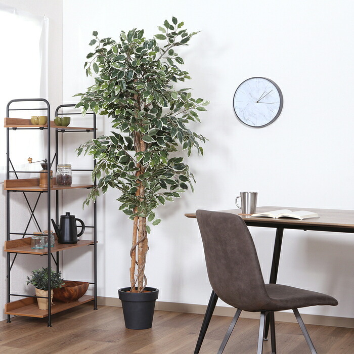ガーデン エクステリア 観葉植物 フィカス １１２４ Ｂ フェイクグリーン 植物 緑 グリーン 癒し 植木 インテリア ガーデニング おしゃれ カフェ リビング プランター ギフト プレゼント 贈り物 オフィス 会社 枯れない 簡単 手入れ 人気 樹木