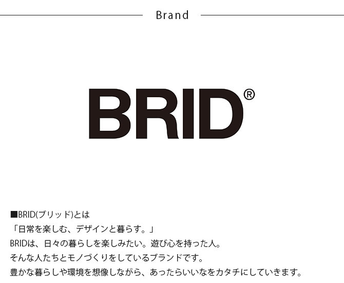 BRID ブリッド GENERAL ダクトレールファン DCモーター ベーシック 直径40cm