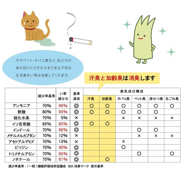 ラグ カーペット 純国産 い草玄関マット 『Fランクス』 約60×90cm（裏:ウレタン）