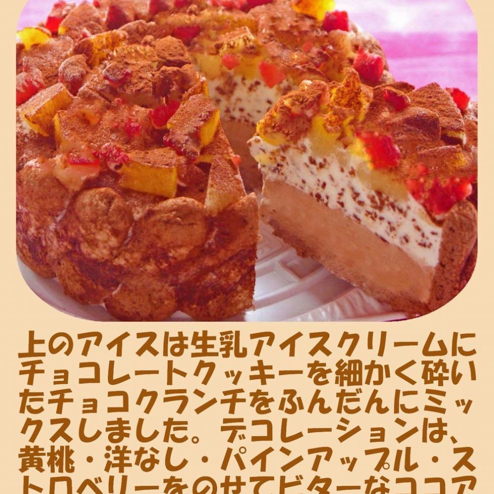 クリスマス生乳チョコアイスケーキ【4～7号】 ［クリスマスケーキ クリスマスデコレーション クリスマスアイスケーキ］