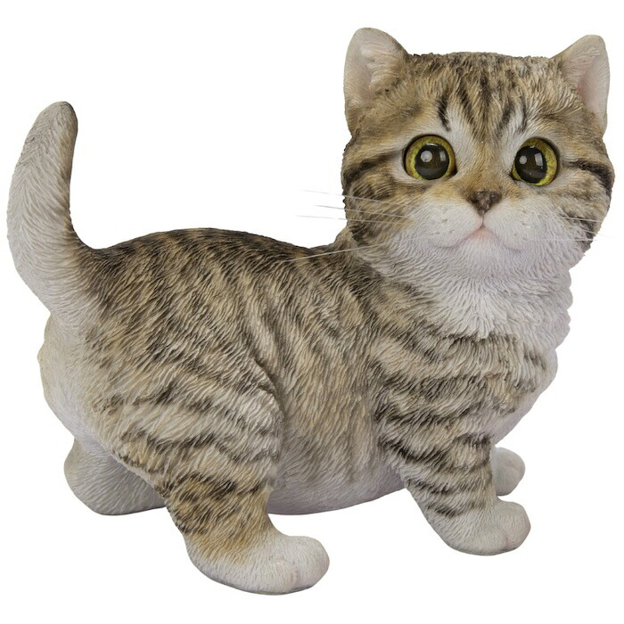 置物 猫 右向きマンチカン 茶黒 幅14cm woobia ウービア リアル かわいい おしゃれ 玄関 インテリア オブジェ ガーデン マンチカン キジトラ ねこ ネコ 動物 アニマル 癒し 棚 北欧 リビング プレゼント ギフト 新築祝い 猫好き