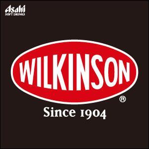 2ケース アサヒ飲料 ウィルキンソン ジンジャエール（辛口） 炭酸水 WILKINSON 500ml 2箱(48本入)