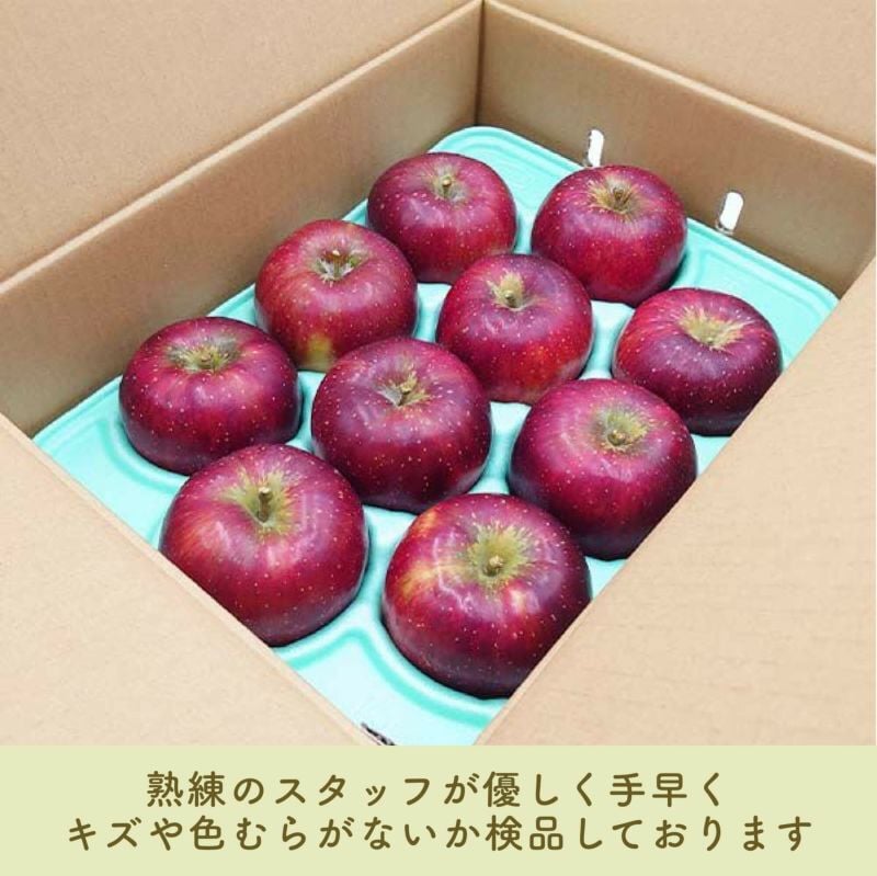【予約】長野県産りんご 秋映 訳あり ご自宅用 果物 フルーツ お取り寄せ 産地直送 【送料無料(一部地域除く)】