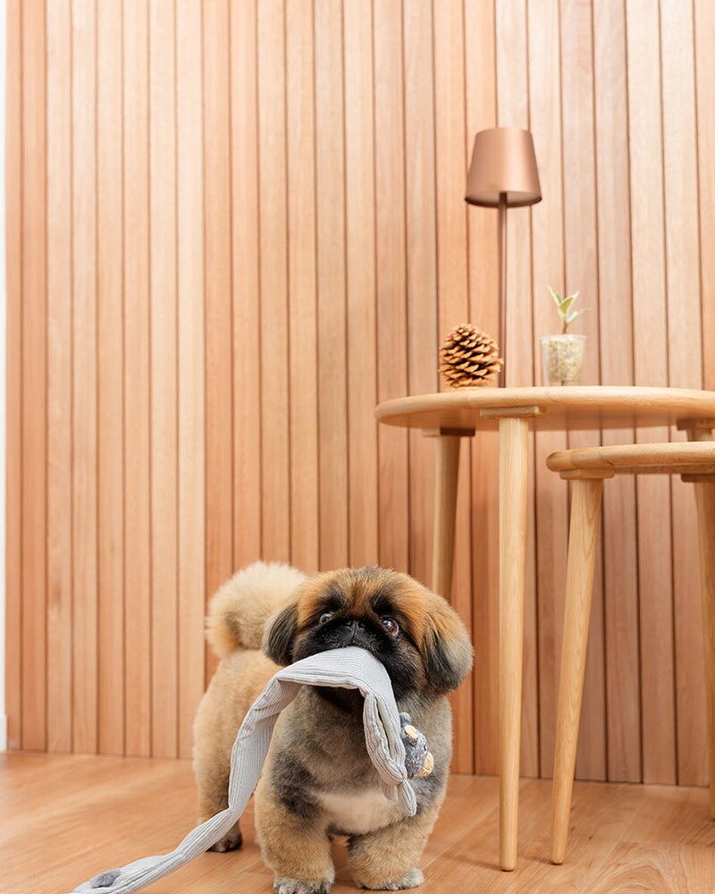 DADWAYPET ダッドウェイペット FAD ファッド ノーティードッグ・トイ マフラー ベア 犬用おもちゃ