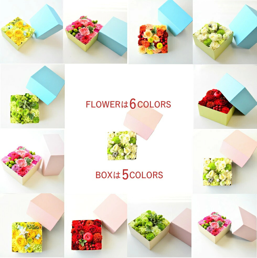 【ＡＲＮＯＸ】ＢＯＸフラワー　送料無料 即日発送 御祝いに生花のBOXフラワー 生花 敬老の日 フラワー ギフト 誕生日 結婚祝い お見舞 送別 新築祝い フラワーケーキ BOXフラワー BOXアレンジ ウエディング 御祝い 卒業 入学 出産 お供え 敬老の日 お中元 お歳暮