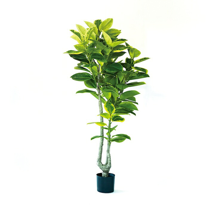 観葉植物 造花 フィカス アルテシマ BROWN 全高約190cm 大型 2本立ち フェイクグリーン 高級 本物そっくり リアル おしゃれ インテリア 人工観葉植物 アーティフィシャルグリーン シンボルツリー オフィス 店舗 ホテル 開店祝い 室内 リビング 玄関 風水 ゴムの木
