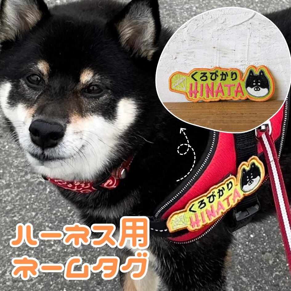 nametag-face ネームタグフェイス ペットうちの子グッズ 犬種 イラスト うちの子 ネームワッペン M Lサイズ 大きめサイズ ネーム ワッペン 刺繍 文字 犬 ハーネス Julius-K9 ユリウス お名前 ペット お名前ワッペン 刺繍ワッペン アイロン接着 マジックテープ 迷子札 愛犬グッズ