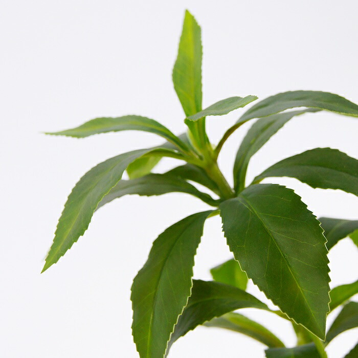 観葉植物 造花 アセビ BROWN 全高約210cm 大型 フェイクグリーン 高級 本物そっくり リアル おしゃれ 和風 和モダン インテリア 人工観葉植物 アーティフィシャルグリーン オフィス 店舗 ホテル 旅館 開店祝い 室内 リビング 玄関 風水 庭木 馬酔木