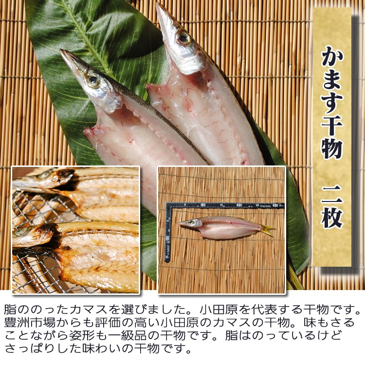 お取り寄せ 海鮮 グルメ ギフト プレゼント 旬彩干物セット【国産】 サバ 産地直送 こだわり 食品 手作り 詰め合わせ 誕生日 小田原 美味しい 訳あり 福袋 魚 1位 通販 バーベキュー 送料無料※一部地域のぞく