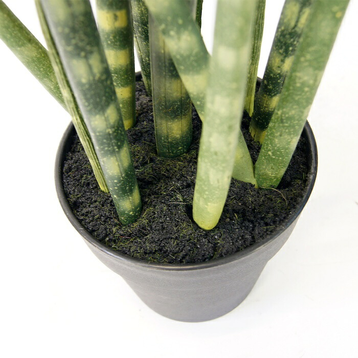 観葉植物 造花 サンセベリア BROWN 全高約68cm 卓上・小型 フェイクグリーン 本物そっくり おしゃれ インテリア 人工観葉植物 アーティフィシャルグリーン オフィス 店舗 ホテル 開店祝い 室内 ミニ トラノオ 虎の尾 フェイク
