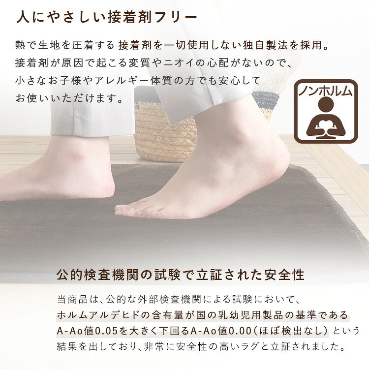 ラグ カーペット 洗える玄関マット 45×65cm 【ヴィタム-Witam-】