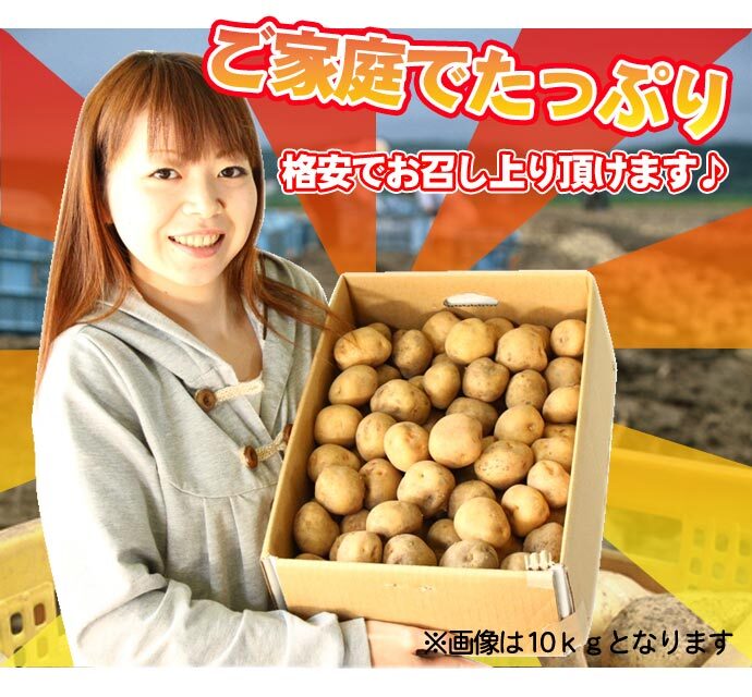 きたあかり 9.5-10kg 訳あり 北海道 じゃがいも S-Mサイズ 送料無料  ※沖縄は送料別途加算 キタアカリ