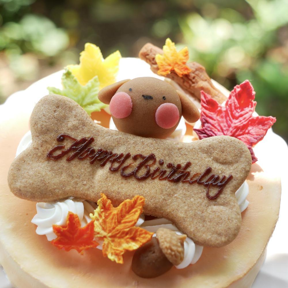 犬用ケーキ 誕生日 ちぃさい秋みぃ～つけた紅葉いちごショートケーキ レギュラーサイズ 無添加 食いつき 人気 おすすめ 手づくりごはん 小型犬 犬 小さいサイズ バースデー ケーキ フードケーキ ごはん プレゼント ギフト 贈り物 お誕生日 お迎え記念日 快気祝い ご贈答用 結婚祝い パーティー お茶会 犬友 猫友 お祝い お誕生日 ワンちゃん ペットフード ドッグフード