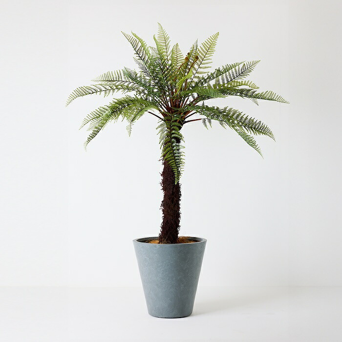 観葉植物 造花 ディクソニア BROWN 全高約183cm 大型 フェイクグリーン 高級 本物そっくり リアル おしゃれ 珍しい インテリア 人工観葉植物 アーティフィシャルグリーン オフィス 店舗 ホテル 開店祝い 室内 リビング 玄関 風水 木性シダ