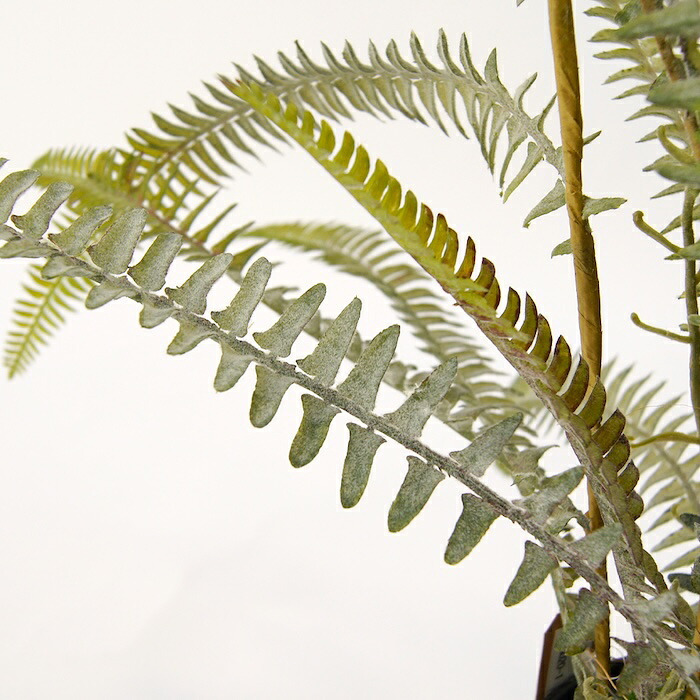観葉植物 造花 ボストンファーン シルバー BROWN 全高約77cm 卓上・小型 フェイクグリーン 本物そっくり おしゃれ インテリア 人工観葉植物 アーティフィシャルグリーン オフィス 店舗 ホテル 開店祝い 室内 ミニ シダ タマシダ フェイク