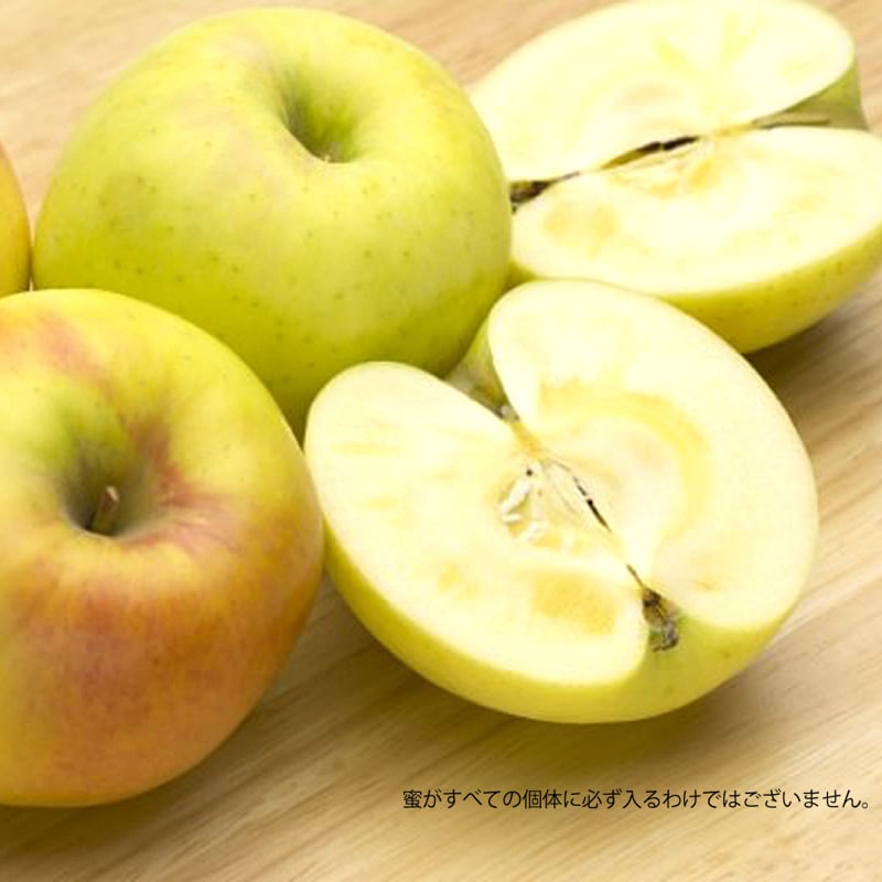 長野県産りんご ぐんま名月 秀品 ご贈答 果物 フルーツ お取り寄せ 産地直送 【送料無料(一部地域除く)】