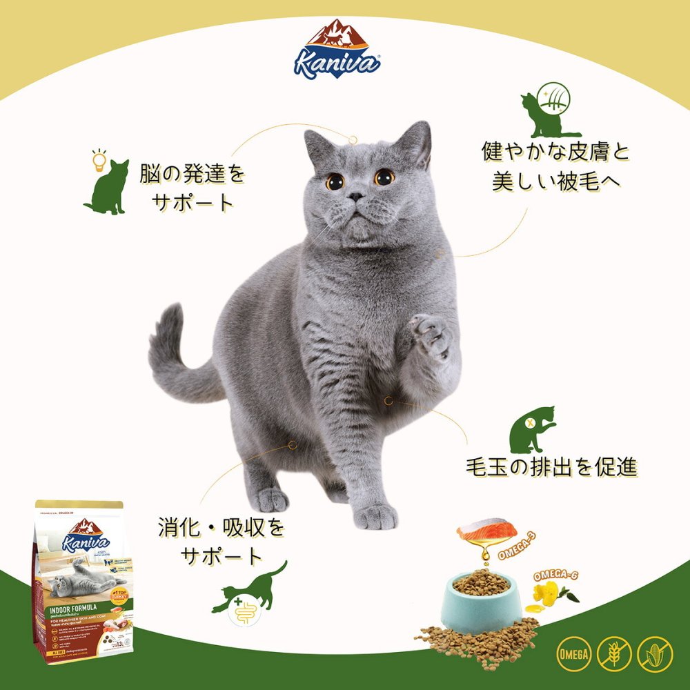 Kaniva カニワ 室内猫フォーミュラ（ターキー） キャットフード 1.3kg×6個