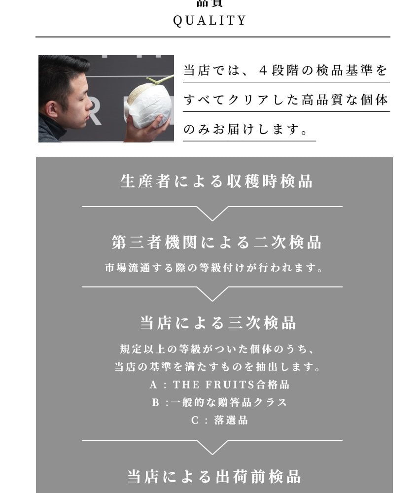 THE FRUITS シナノスイート 長野県産 林檎 6玉 等級 高等級 中玉（32玉級) 以上 りんご 高級 内祝い お返し 出産内祝い 内祝 入学内祝い 快気祝い 結婚祝い 結婚内祝い 新甘泉 お供え 御供 ギフト お祝いグルメ 果物 希少 食べ物 贈答用
