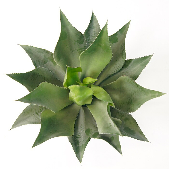 観葉植物 造花 アガベ アテナータ BROWN 全高約50cm 卓上・小型 フェイクグリーン 本物そっくり おしゃれ インテリア 人工観葉植物 アーティフィシャルグリーン オフィス 店舗 ホテル 開店祝い 室内 ミニ 多肉植物 フェイク