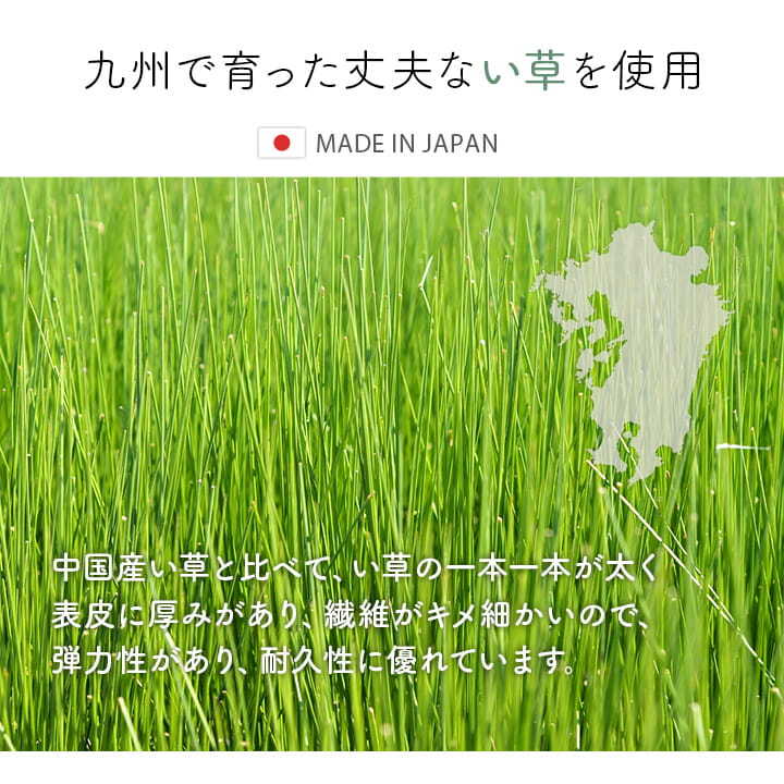 夏ラグ 夏用カーペット 玄関マット 室内 おしゃれ マット い草ラグ 日本製 抗菌防臭 滑り止め ウレタン 新生活 ラグマット 北欧調 約70×120cm