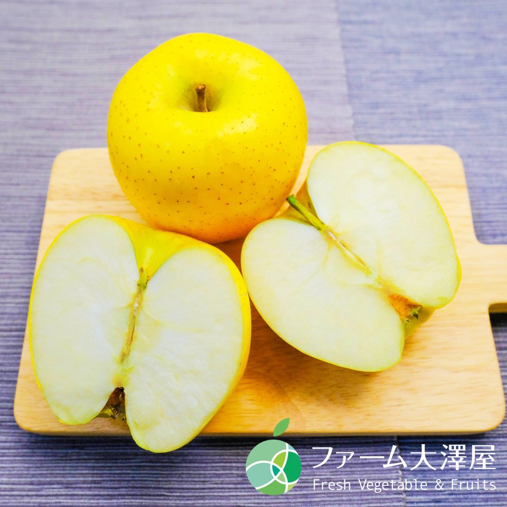 シナノゴールド　約1.4kg　4-5玉　りんご　長野県産