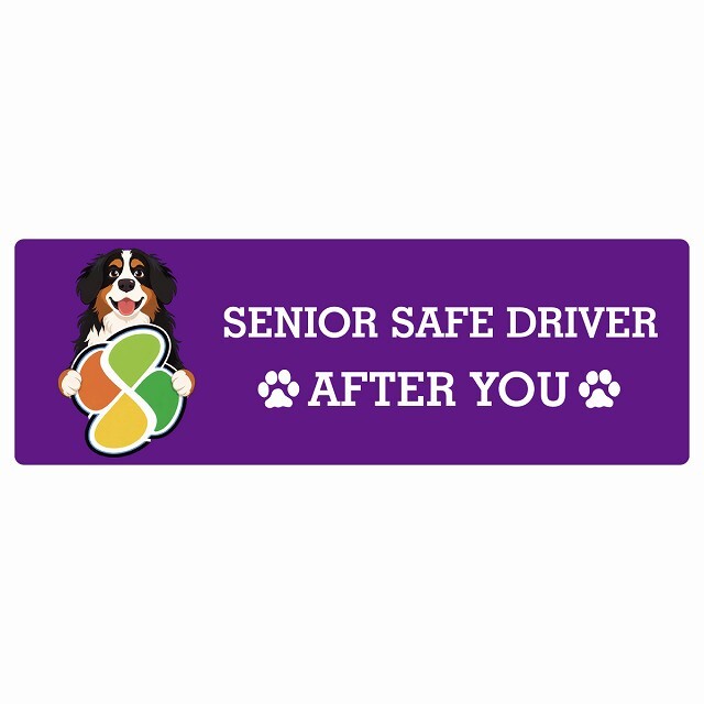 カーサイン 高齢者マーク SENIOR SAFE DRIVER バーニーズマウンテンドッグ ステッカー シール 長方形 20x6.7cm 肉球 日本製 車