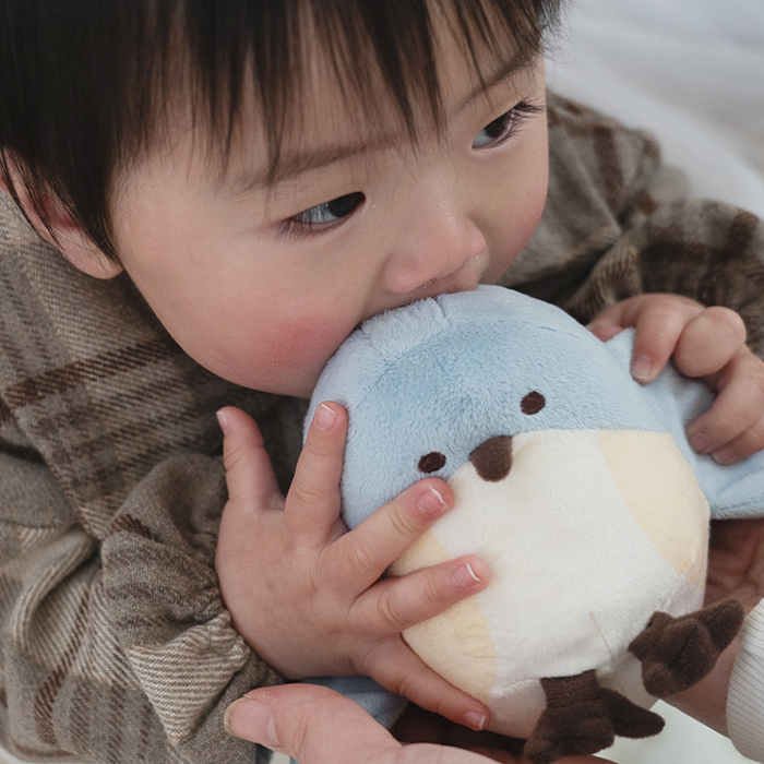 amanoppo あまのっぽ ぬいけっと ～ちいさな幸せ～ | ブランケット タオルケット 毛布 ミニ ぬいぐるみ 人形 動物 アニマル 鳥 布製 ガーゼ コットン