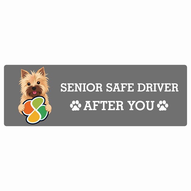 カーサイン 高齢者マーク SENIOR SAFE DRIVER ノーリッチテリア ステッカー シール 長方形 20x6.7cm 肉球 日本製 車