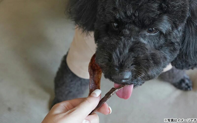ロクバ ROKUBA カリカリジャーキー 鹿 国産 犬用おやつ 60g