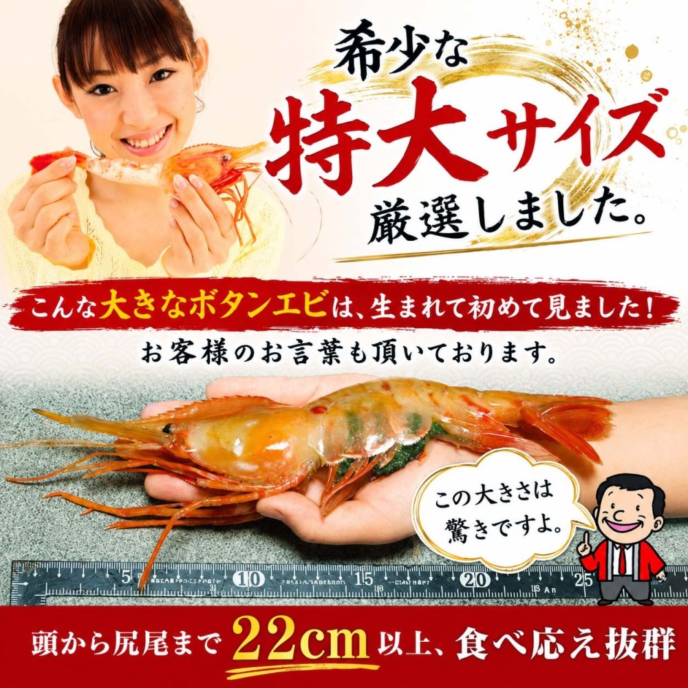 特大 子持ち ボタンエビ　2Lサイズ　1ｋｇ（14～18尾入）　ぼたんえび 特大サイ ズ 卵入り 海老味噌も絶品 お刺身用 お寿司用 ぼたん海老