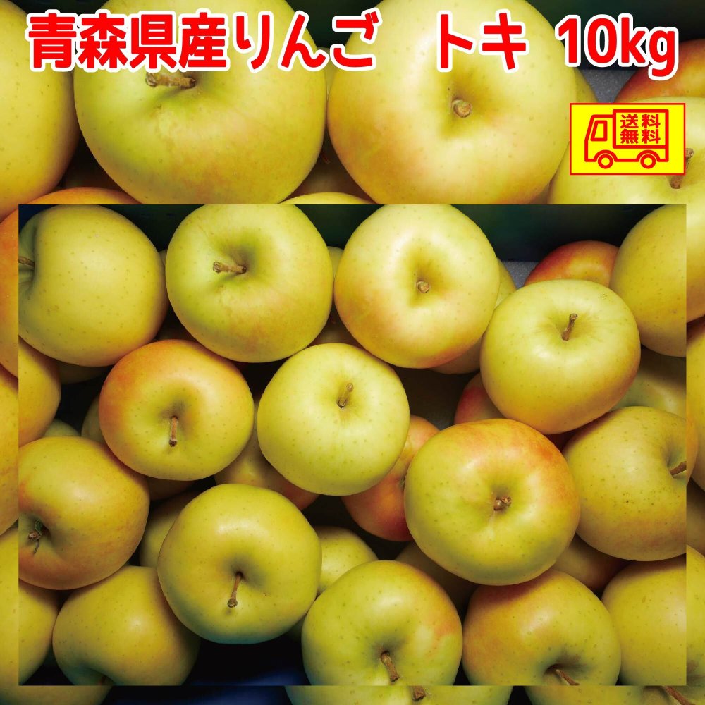 青森県産　りんご　ご家庭用　トキ　3ｋｇ　7〜15玉　送料無料！