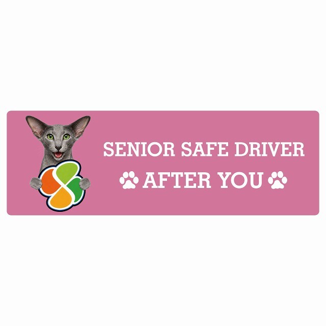 カーサイン 高齢者マーク SENIOR SAFE DRIVER オリエンタルショートヘア ステッカー シール 長方形 20x6.7cm 肉球 日本製 車