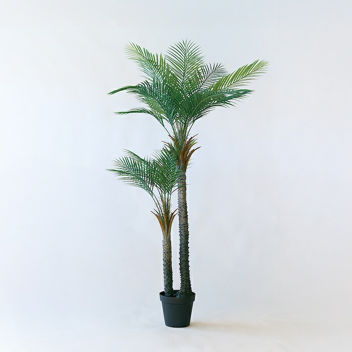 観葉植物 造花 フェニックス ロベレニー BROWN 全高約190cm 大型 フェイクグリーン 高級 本物そっくり リアル おしゃれ インテリア 人工観葉植物 アーティフィシャルグリーン 2本立ち オフィス 店舗 ホテル 開店祝い 室内 リビング 玄関 風水 ヤシの木 シンノウヤシ