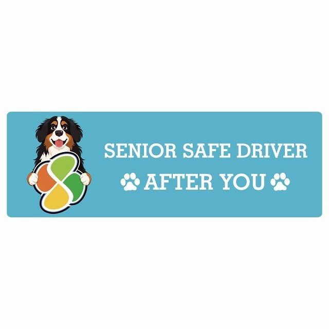 カーサイン 高齢者マーク SENIOR SAFE DRIVER バーニーズマウンテンドッグ ステッカー シール 長方形 20x6.7cm 肉球 日本製 車