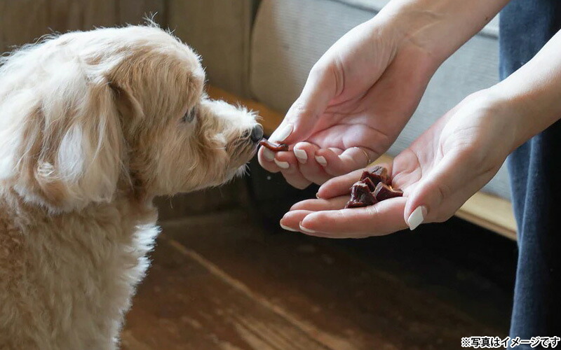 ロクバ ROKUBA スモーク薫るソフトジャーキー 鹿 国産 犬用おやつ 20g