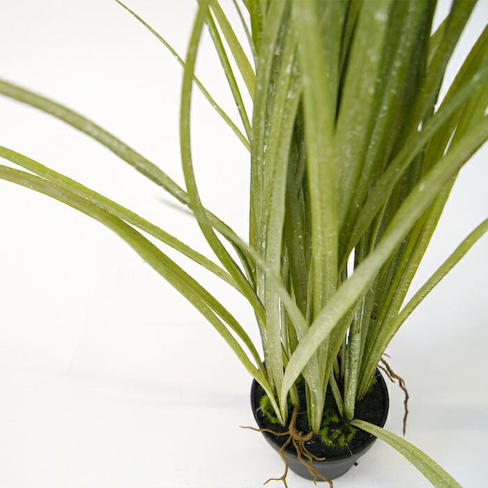 観葉植物 造花 グラス BROWN 全高約65cm 卓上・小型 フェイクグリーン 本物そっくり おしゃれ インテリア 人工観葉植物 アーティフィシャルグリーン オフィス 店舗 ホテル 開店祝い 室内 ミニ ナチュラル 草 フェイク