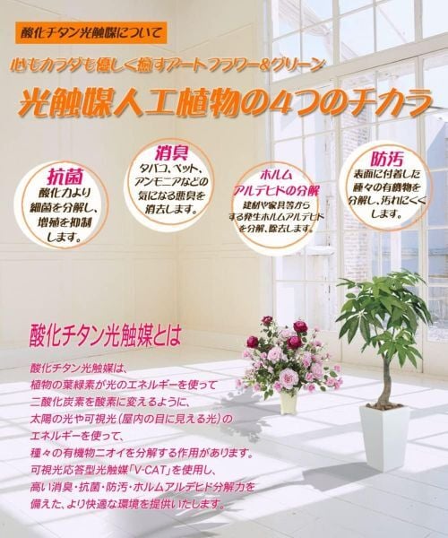 造花　光触媒胡蝶蘭5本立て　3色よりお選び下さい　【お祝い】【開店】【ショールーム】