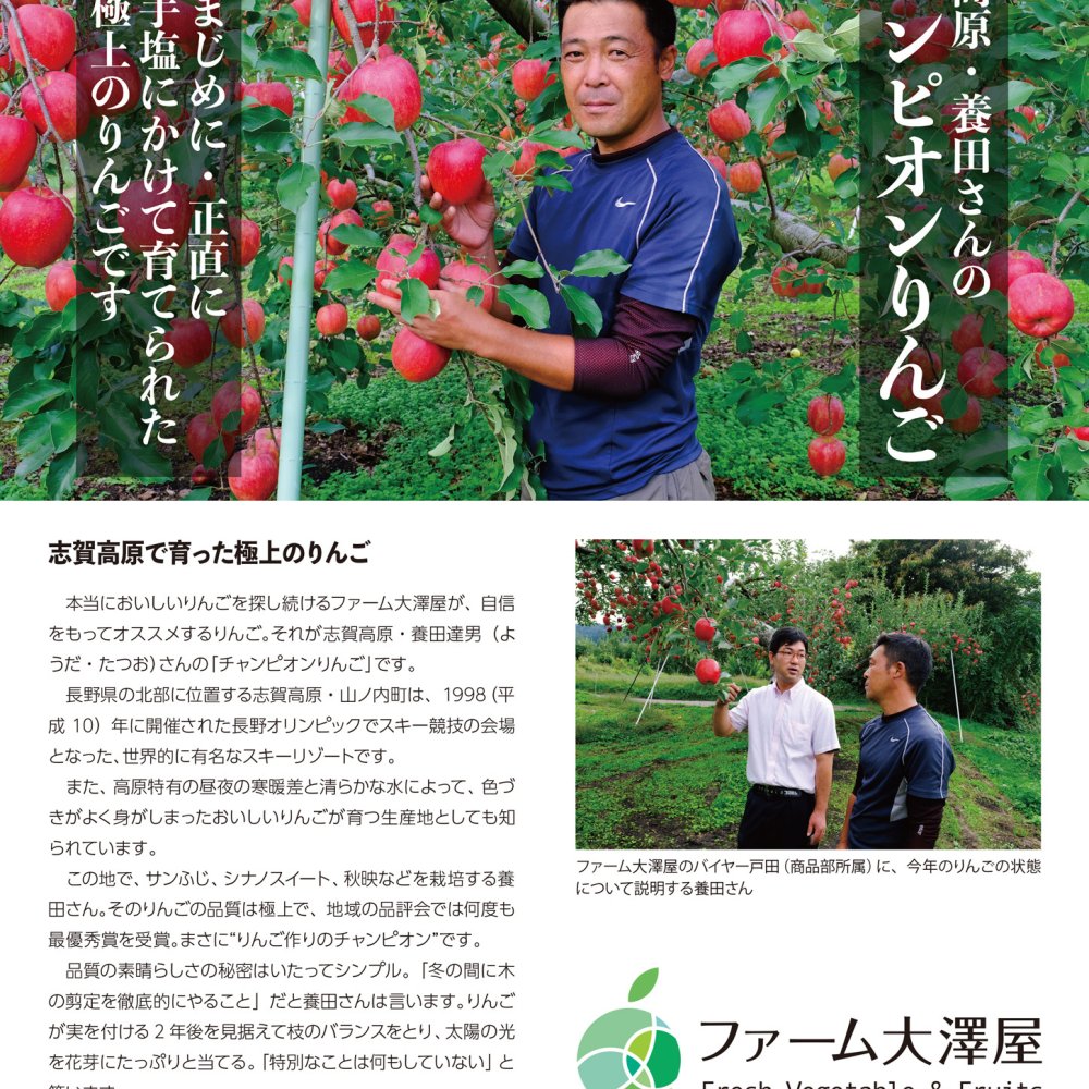 最高級品　シナノスイート　チャンピオンりんご®　贈答用　約5kg　8-23玉　長野県・志賀高原産　お歳暮　御歳暮　フルーツ　ギフト