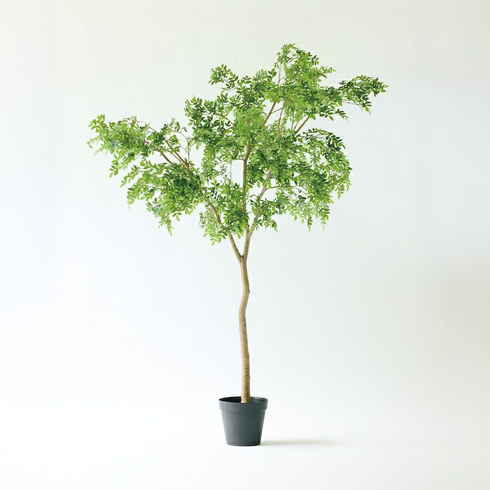 観葉植物 造花 ラデマキア BROWN 全高約235cm 大型 フェイクグリーン 高級 本物そっくり リアル おしゃれ インテリア 人工観葉植物 アーティフィシャルグリーン シンボルツリー オフィス 店舗 ホテル 開店祝い 室内 リビング 玄関 風水 ラデルマケラ