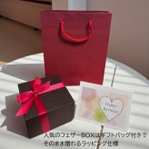 ハワイアンジュエリー ピアス 両耳用 ブルーオパール プルメリア 花 スタッドピアス フラワー 【妻・彼女へのプレゼントに】耳元を華やかに彩る シルバー925 誕生日 記念日 クリスマス プレゼント ご褒美 ギフト 20代 30代 40代 レディース ハワジュ 大人可愛い シンプル ホワイトデー 母の日 女性