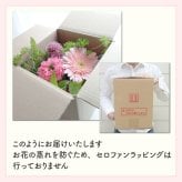 【花瓶いらずのミニブーケ】【選べる3色】【Sサイズ】【クール便】そのまま飾れる 到着日指定可 最短翌日お届け スタンドブーケ スタンディングブーケ | 敬老の日 誕生日 結婚祝い 出産祝い 還暦祝い 退職祝い 結婚記念日 引っ越し祝い 新築祝い 産休祝い 開業・開店祝い 記念日 開店祝い 周年祝い ペットのお悔やみ お悔やみ