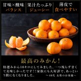 みかん 2.5kg 贈答用 秀品 特選 送料無料 和歌山 M L 伊藤農園 大玉 中玉 手詰め 有田みかん 温州みかん 果物 出産内祝い 贈答 ギフト 誕生日 結婚祝い 出産祝い 内祝い ギフト