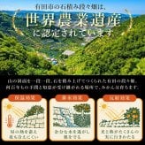 みかん 5kg 贈答用 秀品 特選 送料無料 和歌山 M L 伊藤農園 大玉 中玉 手詰め 有田みかん 温州みかん 約30個～40個 果物 出産内祝い 贈答 ギフト 誕生日 結婚祝い 出産祝い 内祝い ギフト