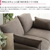 ソファ 座椅子 収納付き2人掛け 2人掛け コンパクト 2人用 収納 ポケットコイル ファブリック ー 体にフィット Riely おしゃれ ミッドセンチュリー 西海岸