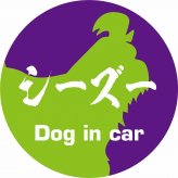 Dog in car ドッグインカー ステッカー カーステッカー シーズー 毛筆書体 パープルグリーン シール 煽り運転対策 カーサイン