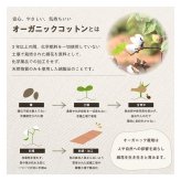 クッション フリーシート 車 日本製 オーガニックコットン 綿100% 無地 洗える 約43×130cm 新生活