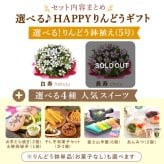 敬老の日 すぐ贈れるギフト 即日発送 鉢植え プレゼント ギフト 花 りんどう 竜胆 リンドウ 生花 花鉢 花とスーツ 孫 ありがとう どら焼き バウムクーヘン 干し芋 芋けんぴ かりんとう カステラ ようかん あんみつ 秋 送料無料 スイーツ お菓子 和菓子 洋菓子 メッセージカード おいもや