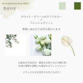 【Like a bouquet】生花のアレンジメント 花束のように見えて華やかな印象があります。新築のお祝いや開店のお祝いなど空間のインテリアのように飾ることができるお祝い花です 送料無料 生花 アレンジメント 誕生日 花 ギフト 送料無料 白 お祝いアレンジメント 御祝 記念日 開店御祝い 自宅用 お供え フラワーギフト 展示会 楽屋花 受付 おしゃれ 母の日 敬老の日 お中元 お歳暮