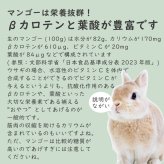 【砂糖不使用】小動物用フリーズドライマンゴー 20g 40g 60g 1袋あたり約35枚入り スライス ウサギ ハムスター モルモット インコ リス チンチラ ハリネズミ モモンガ おやつ 人も食べれる 完全無添加 砂糖ゼロ フルーツ 乾燥 果物 ペット 動物 中国産 送料無料