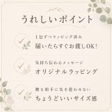 プチギフト お菓子 退職 個包装 お世話になりました お菓子 300円 ちょっとした メッセージ 大量 プレゼント 送別会 お礼 産休 産休前 スイーツ ありがとう おしゃれ まとめ買い ギフト 手土産 内祝い 結婚内祝い お返し 出産内祝い 新築内祝い 引越し内祝い 入学内祝い 卒業祝い 大学入学祝い 定年退職祝い ちょっとした 消えもの